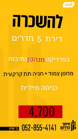 דירה
