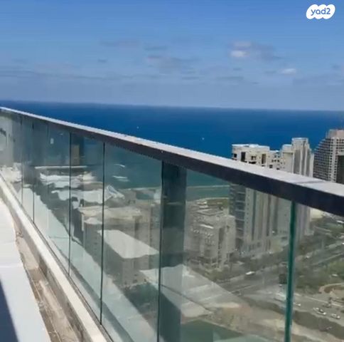 אמנון ליפקין שחק 