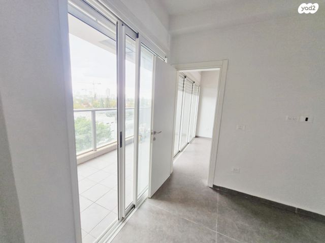 מעפילי אגוז 66