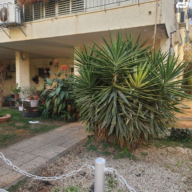 דירה, ההגנה, חולון