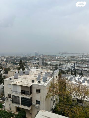 יוסף וינר 25