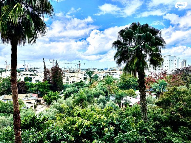 יוסף פעמוני 