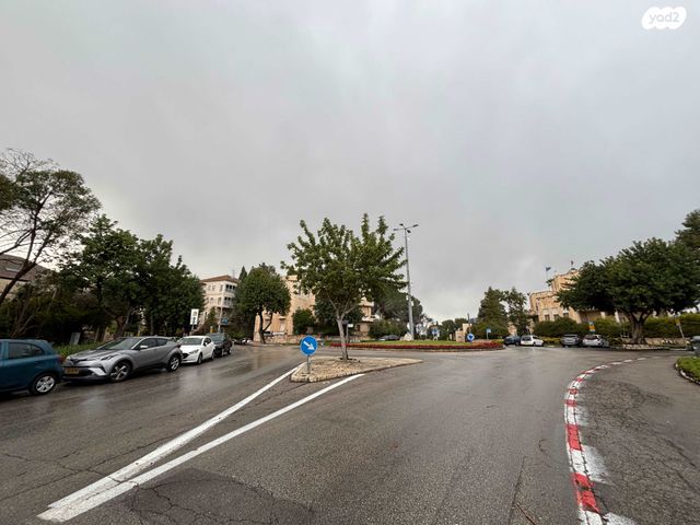 זאב ז'בוטינסקי 