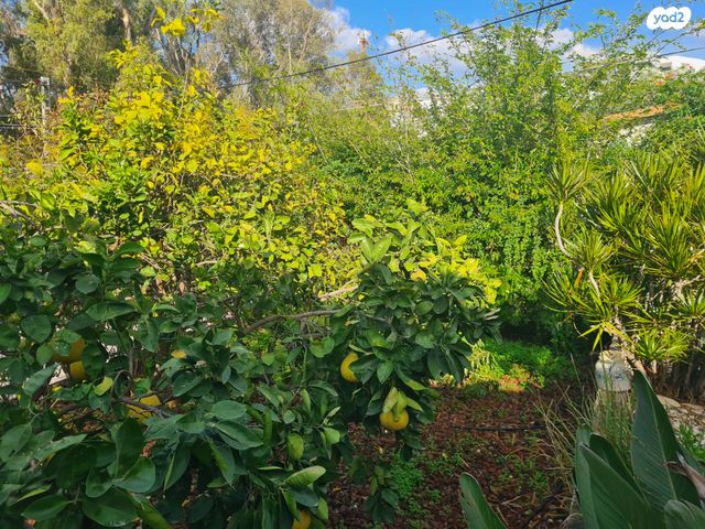 בית פרטי/ קוטג', פרדס חנה כרכור