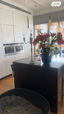 גג/ פנטהאוז, פרופ' יובל נאמן, תכנית ל', למד, תל אביב יפו