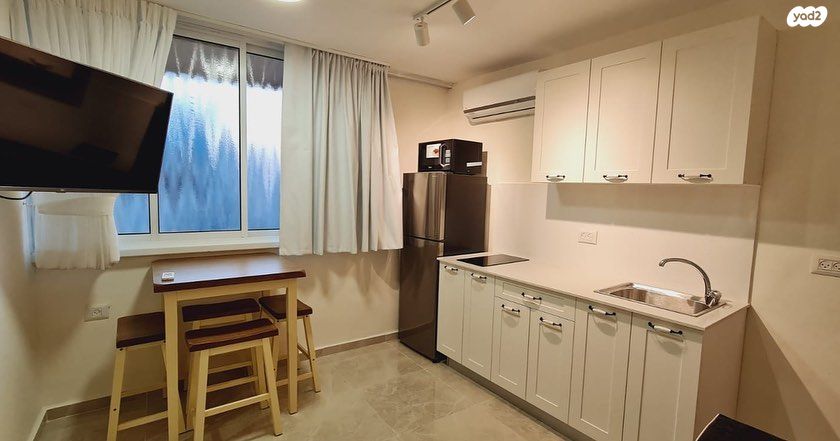 אריה מוצקין 7