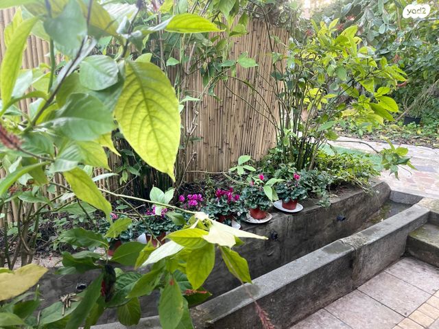 בית פרטי/ קוטג'