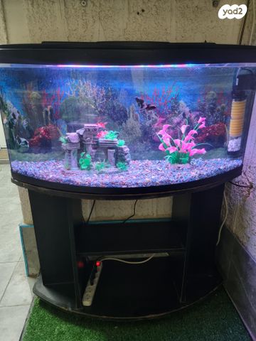 תמונת מודעה - חיות מחמד