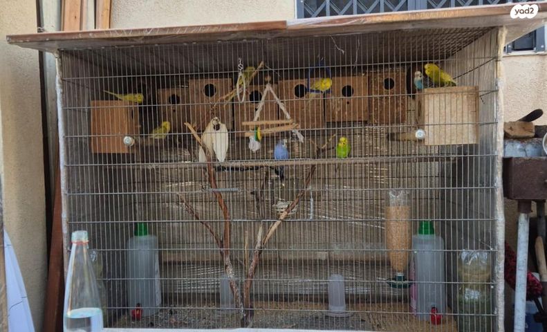 תמונת מודעה - חיות מחמד