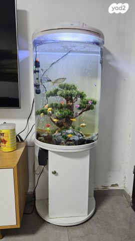 תמונת מודעה - חיות מחמד