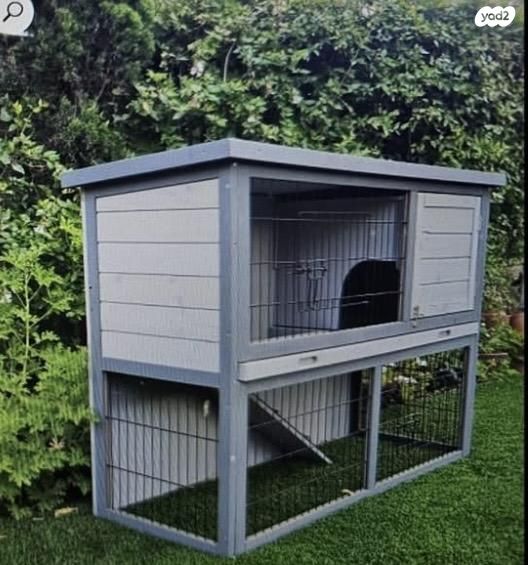 תמונת מודעה - חיות מחמד