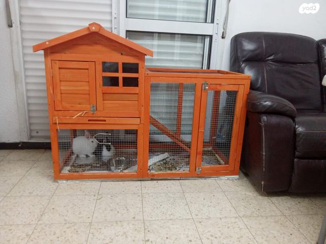 תמונת מודעה - חיות מחמד