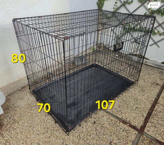 תמונת מודעה - חיות מחמד