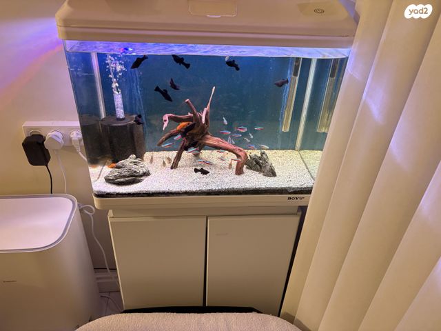 תמונת מודעה - חיות מחמד