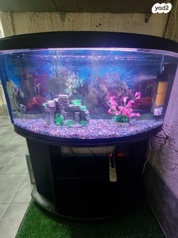 אביזרים | אקווריום