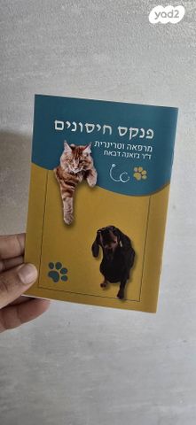 חתול בריטי