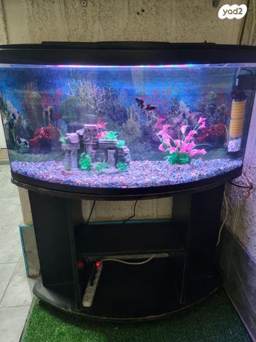 אביזרים | אקווריום