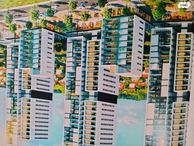 דוד אלעזר 13