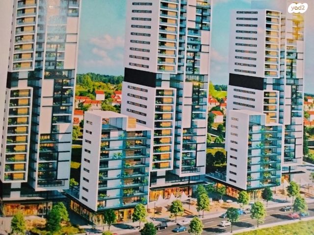 דוד אלעזר 13