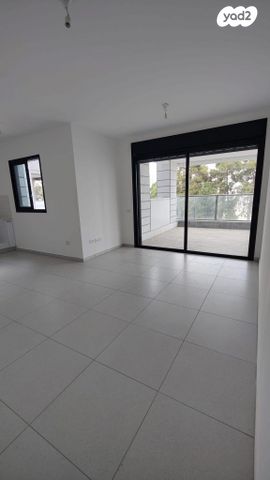 רועי קליין 2