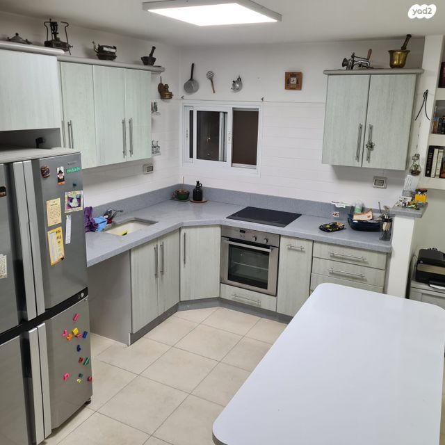 זאב טיומקין 17