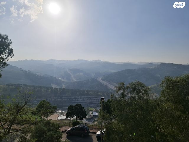 דירה, הקרן 31, כלי שיר, מעלה אדומים