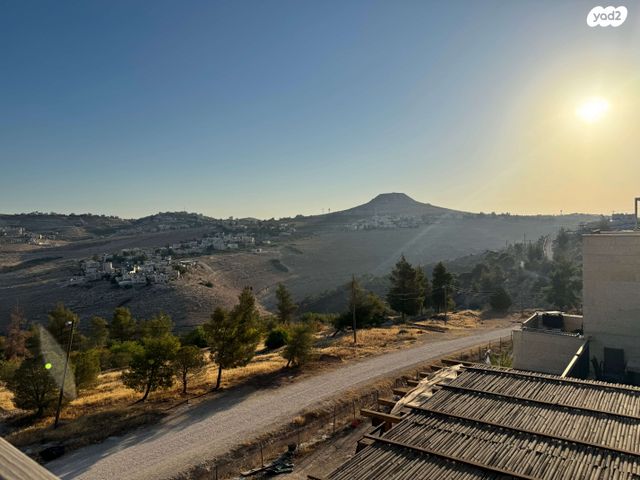 תכלת מרדכי 1