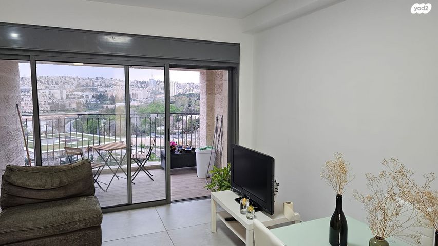 דוד שמעוני 3