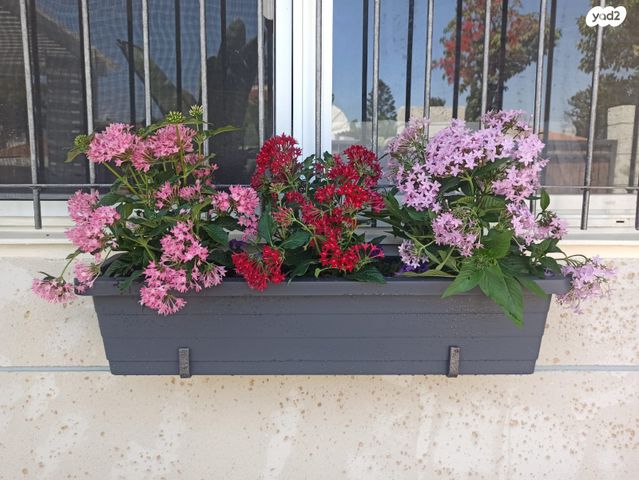 בית פרטי/ קוטג', גושן 7, נווה דקלים, אשקלון