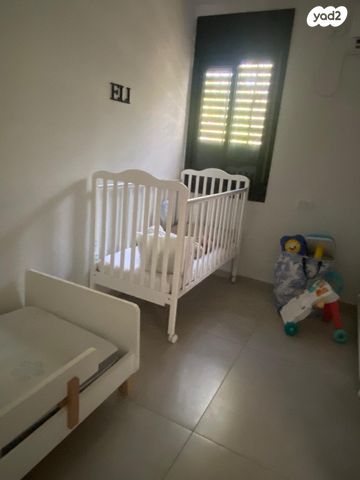 דירה, העבודה 11, ג'סי כהן, חולון