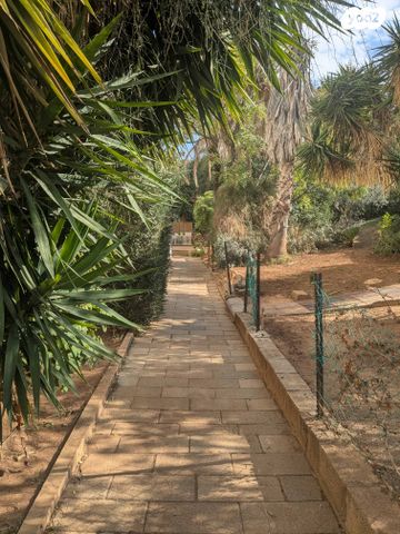 ז'אן ז'ורס 20