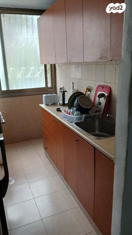 בן גוריון 33