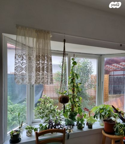 דירת גן, רמב"ם 15, מרמורק, רחובות