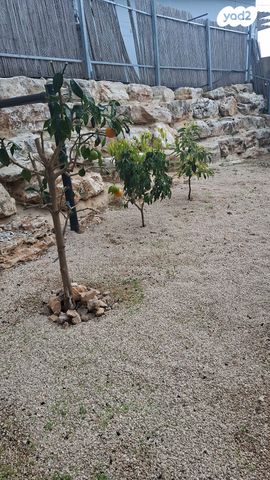 דירת גן, האלון 11, עין יעקב, עין יעקב