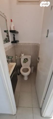 אלכסנדר זייד 52