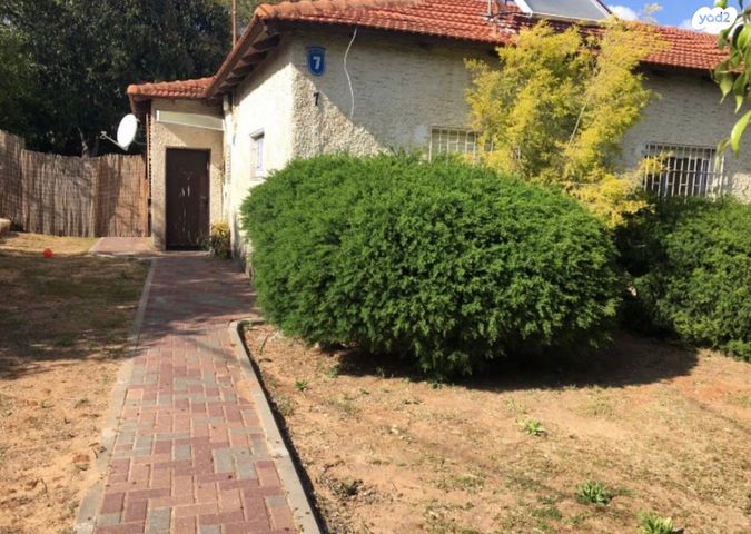 צעירי ציון 7