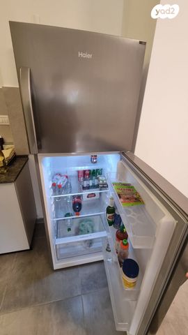 יחידת דיור, צבי ארליך 12, אפרים, רחובות