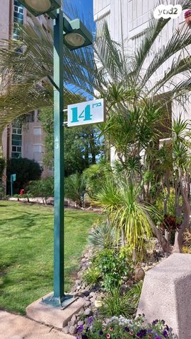 דירה, צמרות 14, צמרות, הרצליה