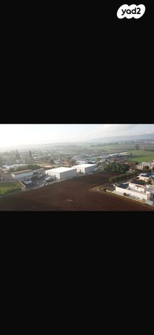 מחסנים, הגפן 19, בלפוריה, בלפוריה