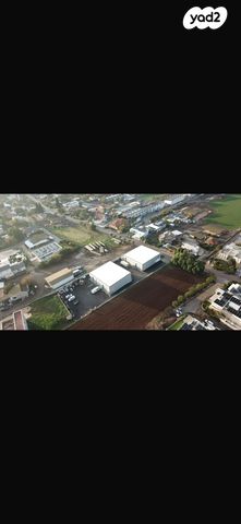 מחסנים, הגפן 19, בלפוריה, בלפוריה