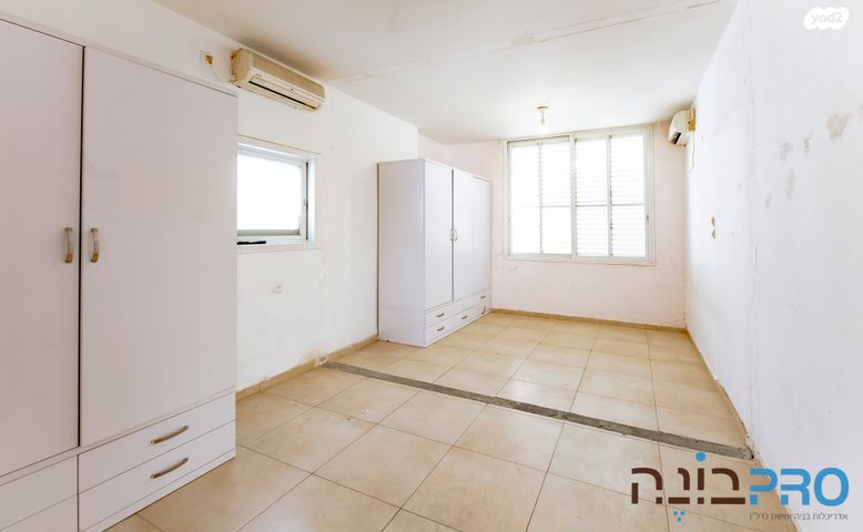 דירה, דוד וולפסון, רמז, מערב ותיק, ראשון לציון