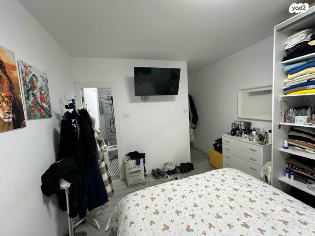 דופלקס, כרמיאל