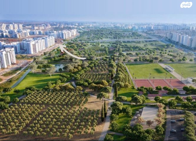 דירה, עיר היין, אשקלון