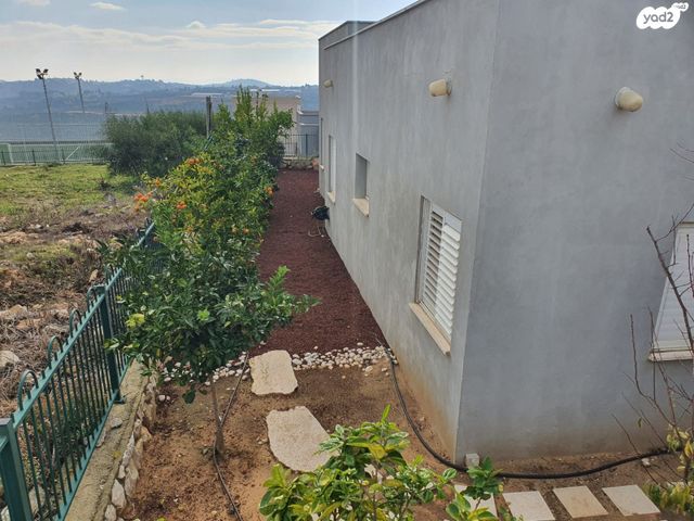 בית פרטי/ קוטג', התמר, שקד