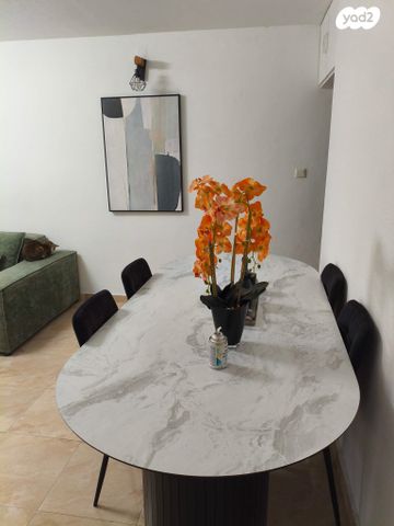 דירה, הרצל, שאר העיר, קרית עקרון