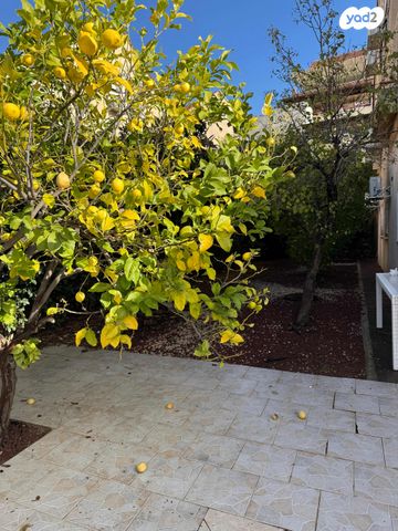 דירת גן, שגיא, כרמיאל