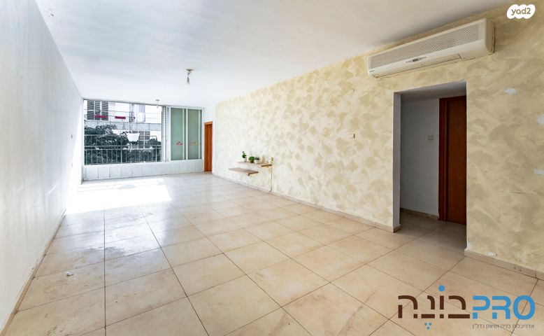 דוד וולפסון 