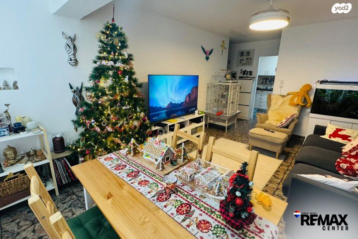 דירה, ארבע ארצות, ג'סי כהן, חולון