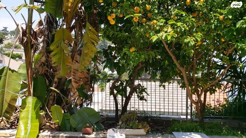 דו משפחתי, העלייה 36, גבעת נשר, נשר