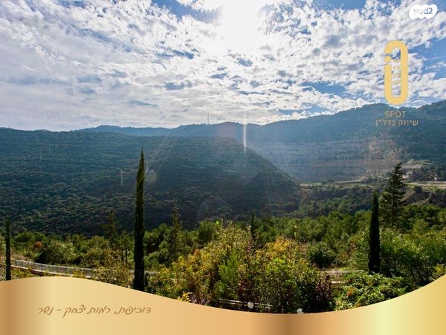 דירה, דוכיפת, רמות יצחק, נשר